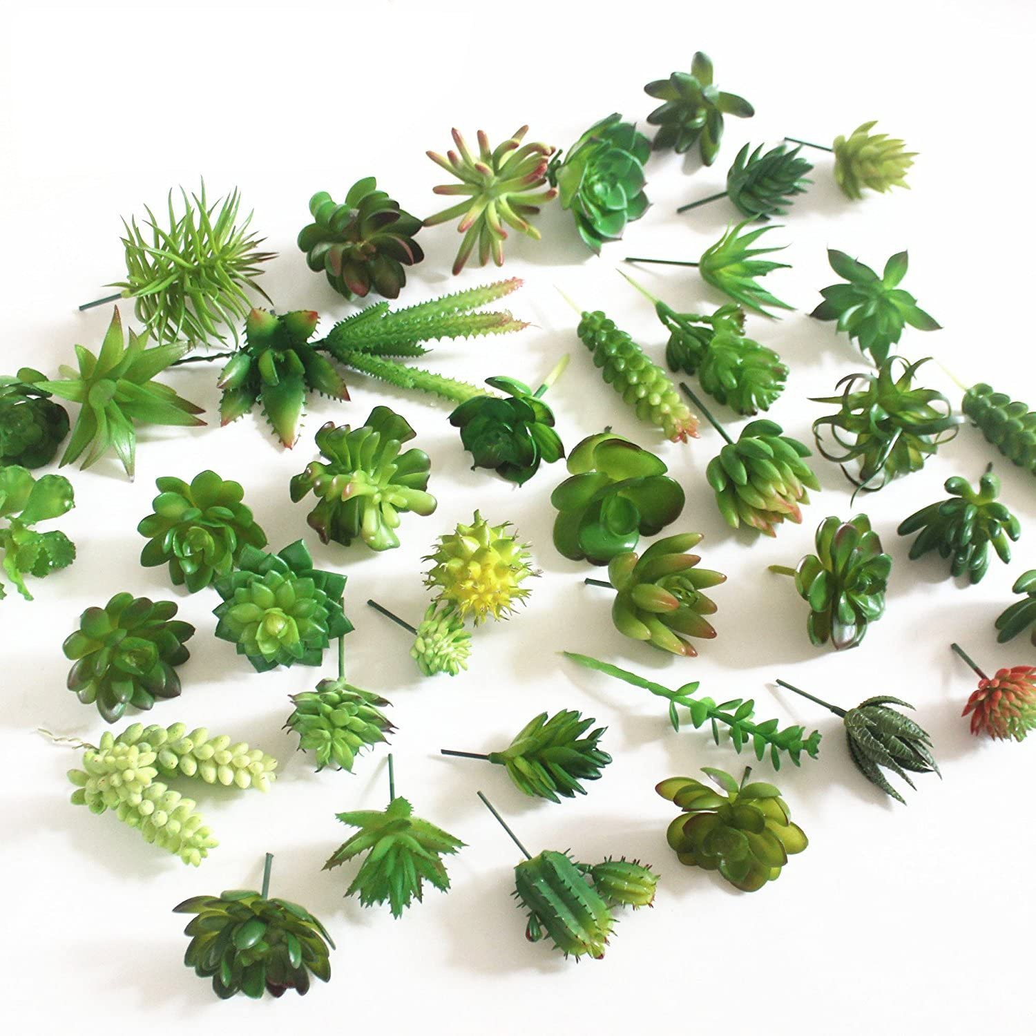 String Of Pearls Plant - 15ชิ้นของตกแต่งพืชอิ่มน้ำปลอมพืชอวบน้ำปลอม unpotted สำหรับ DIY ตกแต่งบ้านติดกำแพง (สีเขียวส่งแบบสุ่ม)