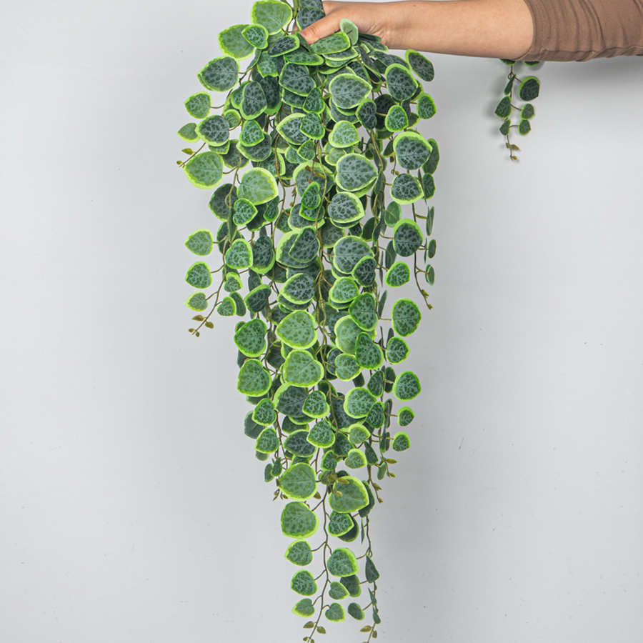 String Of Pearls Plant - 60-80 ซม.ประดิษฐ์แขวน Vines Tropical Eucalyptus พืชพลาสติก