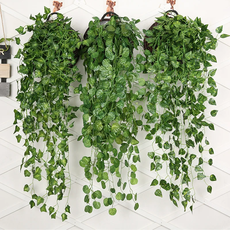 String Of Pearls Plant - 90ซม.ประดิษฐ์หัวไชเท้าสีเขียวผนังแขวนโรงงานหวายบ้าน Hiasan Kamar พื้นหลังดอกไม้ Vine พืช