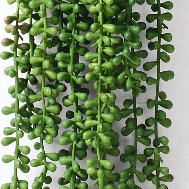 ต้นไม้ประดิษฐ์ พลาสติก ไม้เลื้ - String Of Pearls Plant บทวิจารณ์และราคา