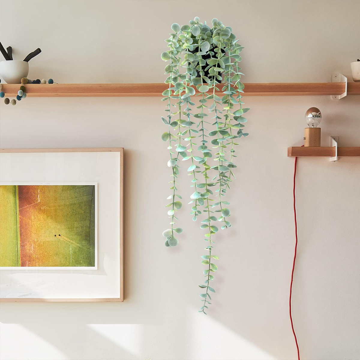 ต้นไอวี่ประดิษฐ์ ต้นยูคาลิปตัส - String Of Pearls Plant บทวิจารณ์และราคา