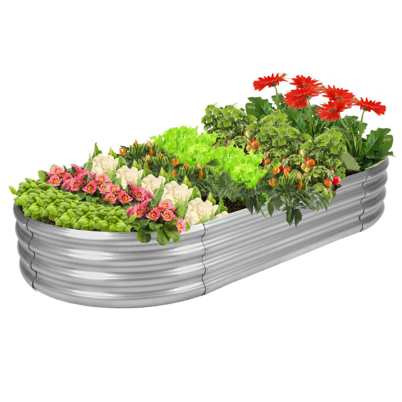 แผ่นเหล็กชุบสังกะสีรูปวงรี 1 ช - Plant Parenting บทวิจารณ์และราคา