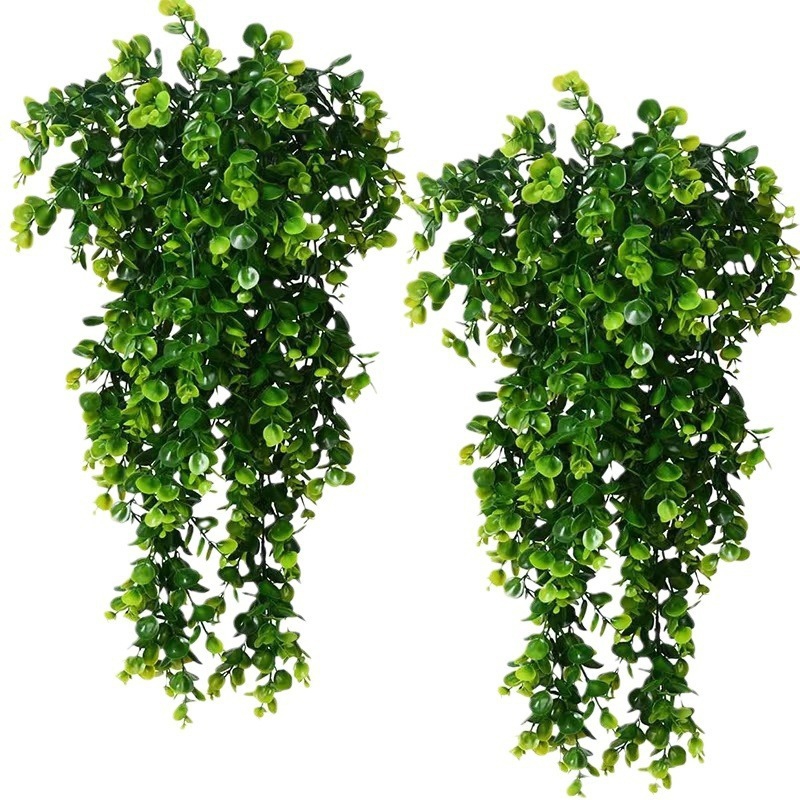 1 ชิ้นประดิษฐ์ 5 ส้อมหวายยูคาล - String Of Pearls Plant บทวิจารณ์และราคา