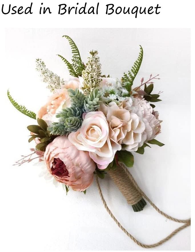 15ชิ้นของตกแต่งพืชอิ่มน้ำปลอมพ - String Of Pearls Plant บทวิจารณ์และราคา