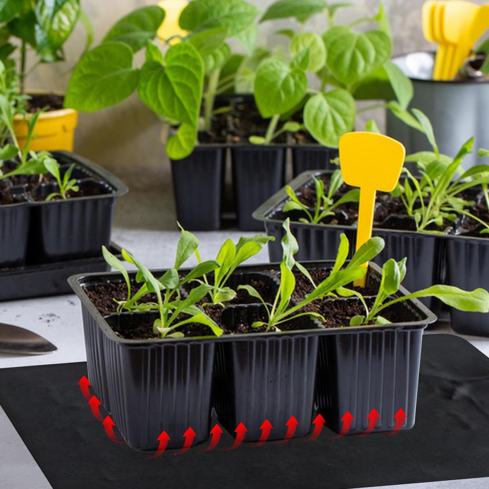 แผ่นทำความร้อนสำหรับเพาะเมล็ดแ - Plant Parenting บทวิจารณ์และราคา