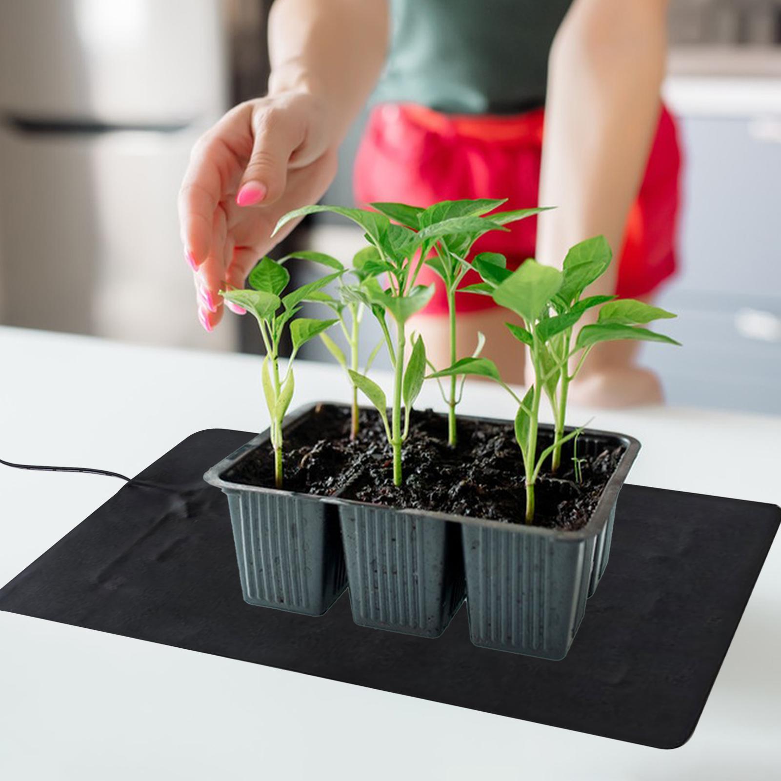 แผ่นทำความร้อนสำหรับเพาะเมล็ดแ - Plant Parenting บทวิจารณ์และราคา