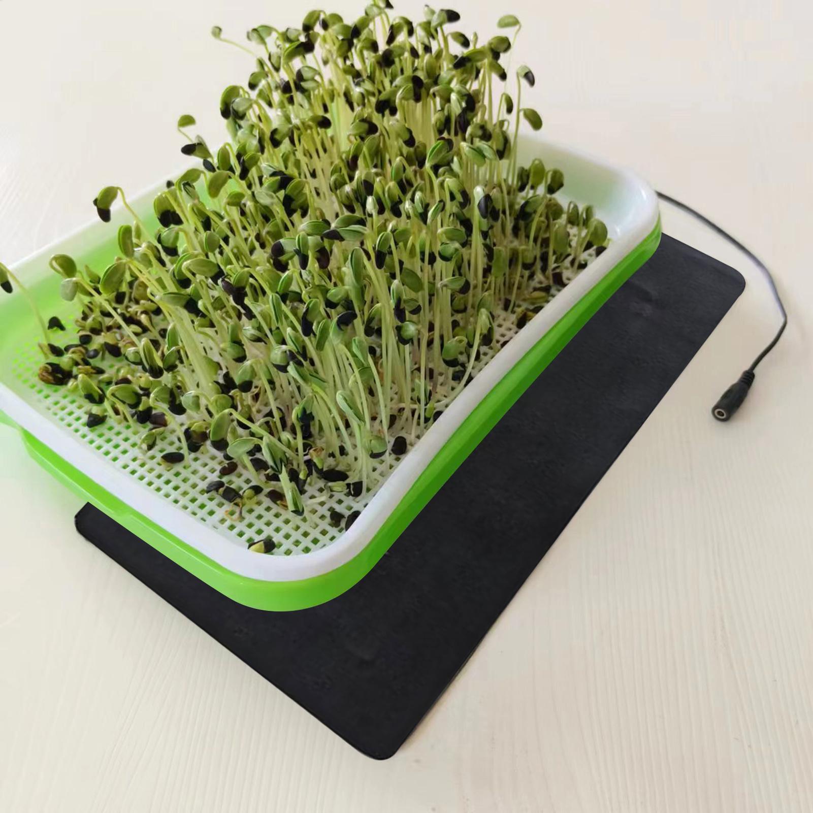 แผ่นทำความร้อนสำหรับเพาะเมล็ดแ - Plant Parenting บทวิจารณ์และราคา