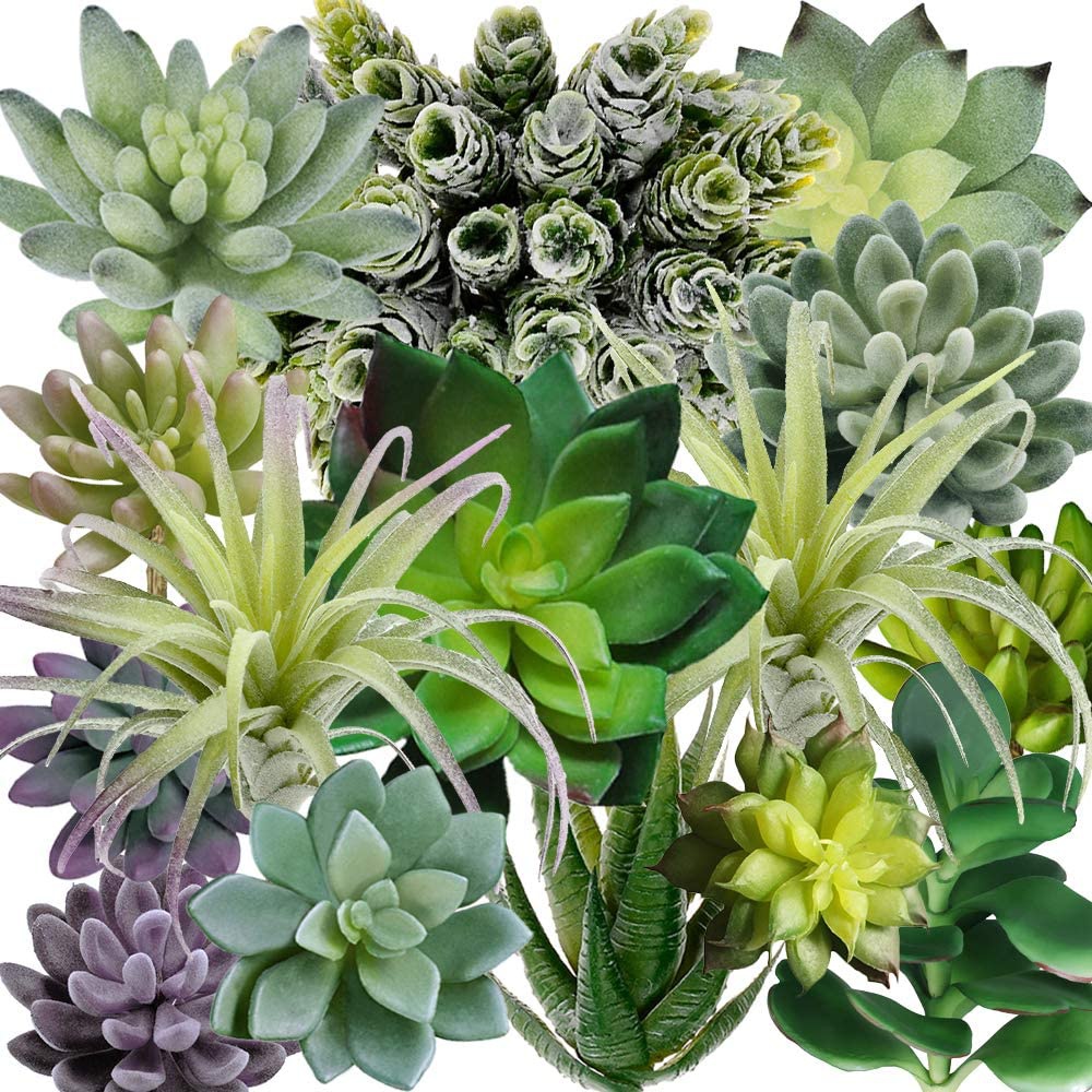 ชุดต้นไม้ประดิษฐ์ 15 ชิ้น รวมพ - String Of Pearls Plant บทวิจารณ์และราคา