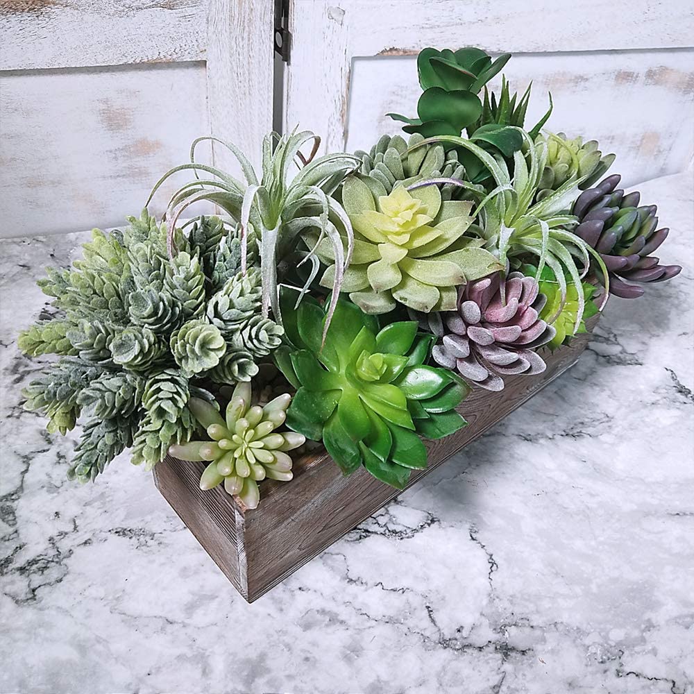 ชุดต้นไม้ประดิษฐ์ 15 ชิ้น รวมพ - String Of Pearls Plant บทวิจารณ์และราคา