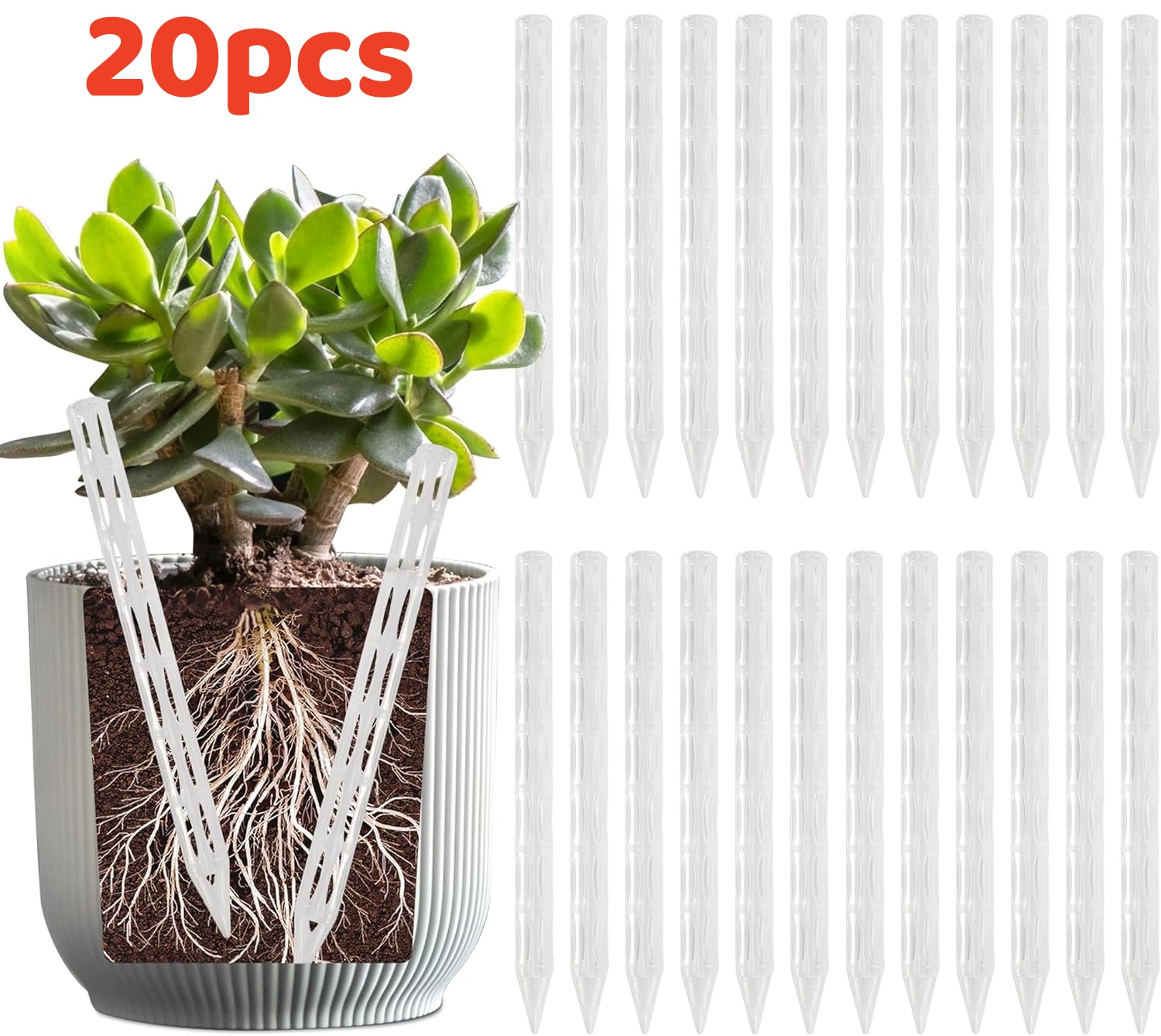 ท่อระบายน้ำ 10/20 ชิ้น เพื่อป้ - Plant Parenting บทวิจารณ์และราคา