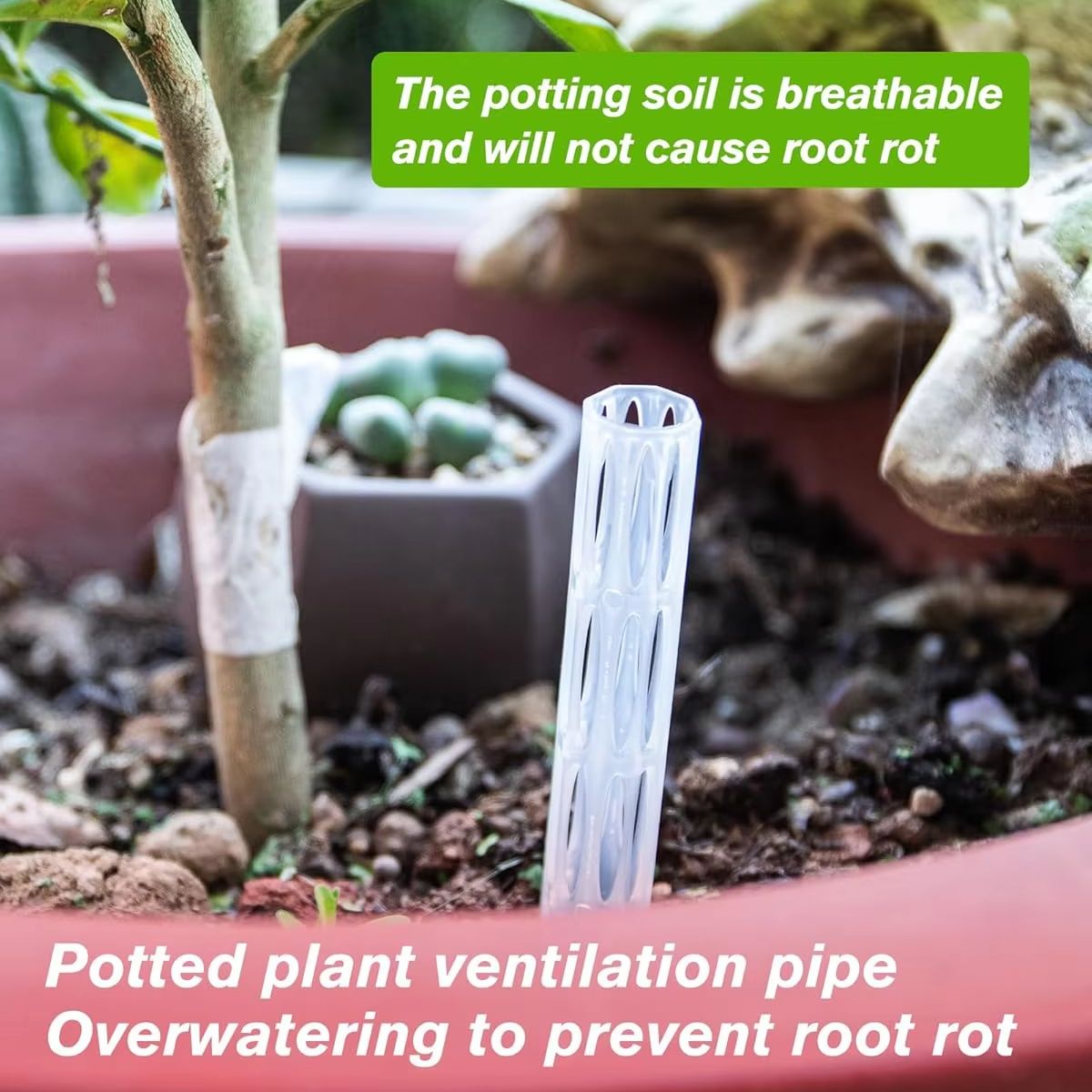 ท่อระบายน้ำ 10/20 ชิ้น เพื่อป้ - Plant Parenting บทวิจารณ์และราคา