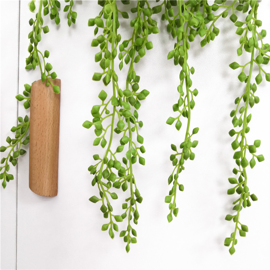 ประดิษฐ์ Vines แขวนผนังหวายใบส - String Of Pearls Plant บทวิจารณ์และราคา