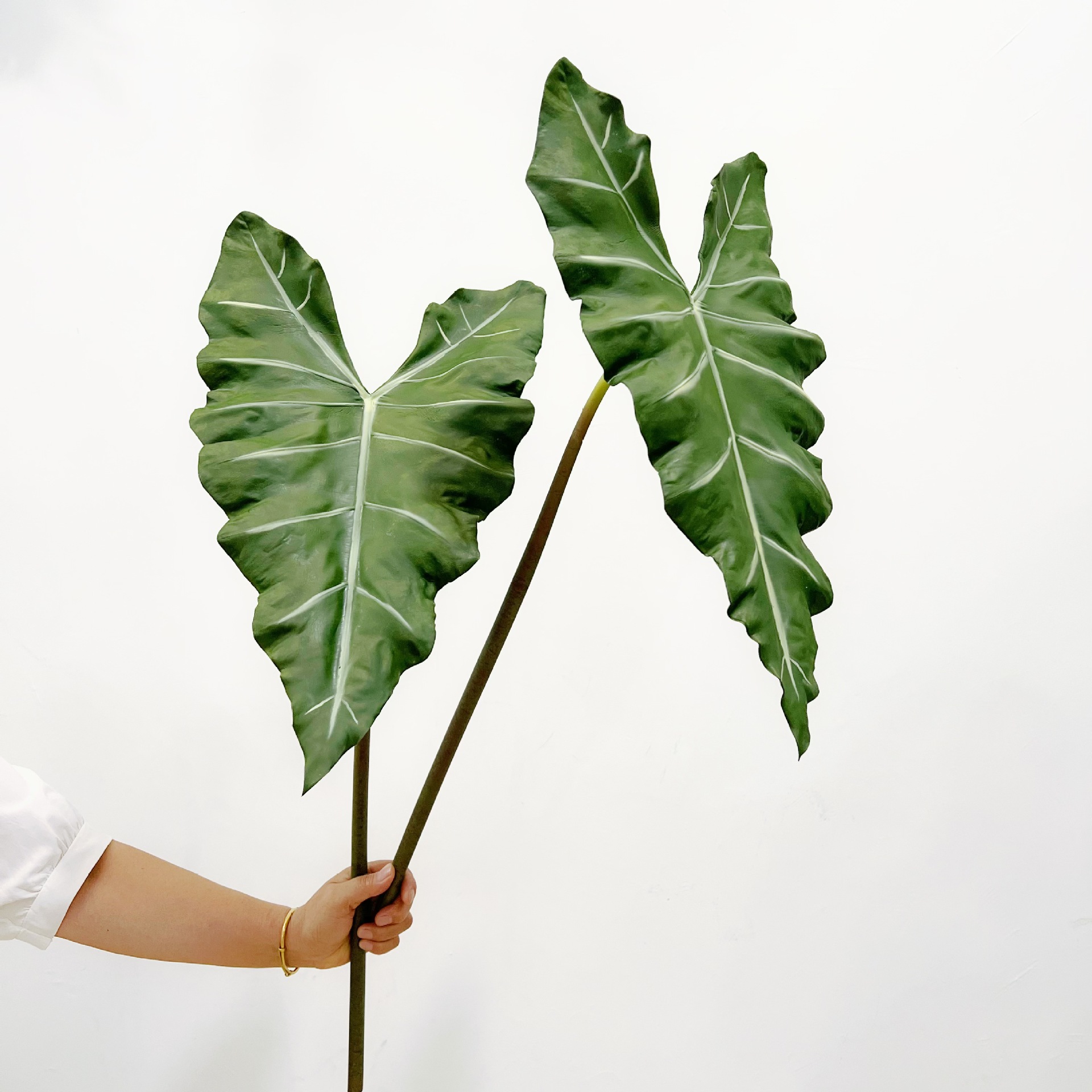 จําลองยาว PU มือรู้สึกพืชสีเขี - String Of Pearls Plant บทวิจารณ์และราคา