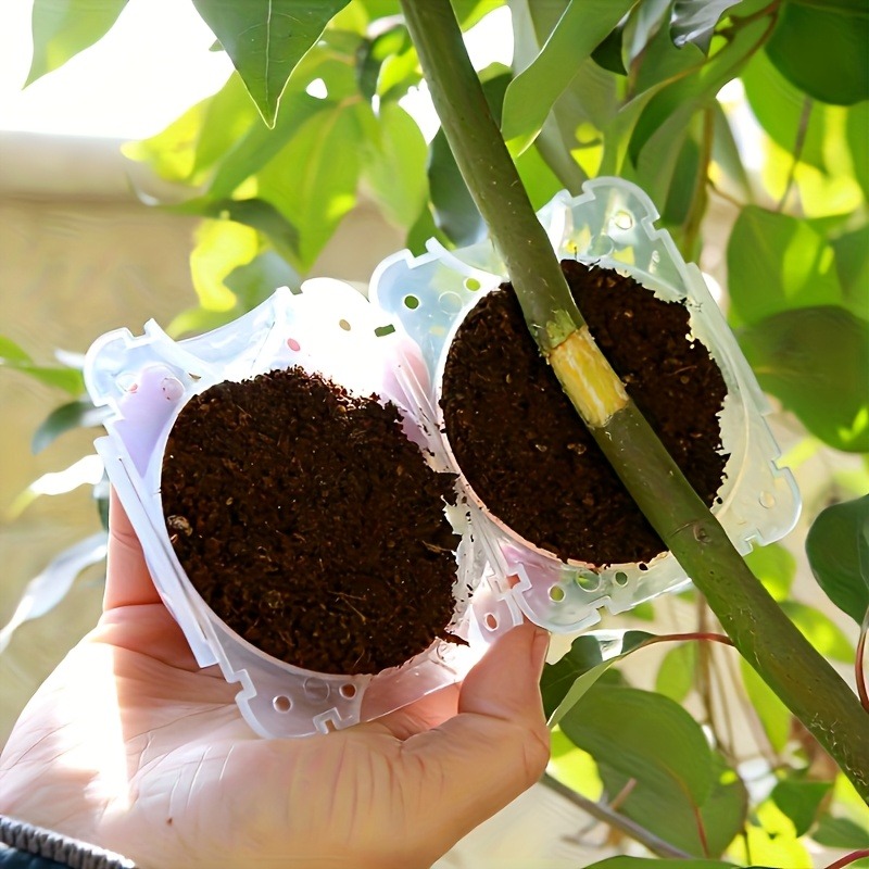 ชุดอุปกรณ์ขยายพันธุ์พืชแบบแรงด - Plant Parenting บทวิจารณ์และราคา
