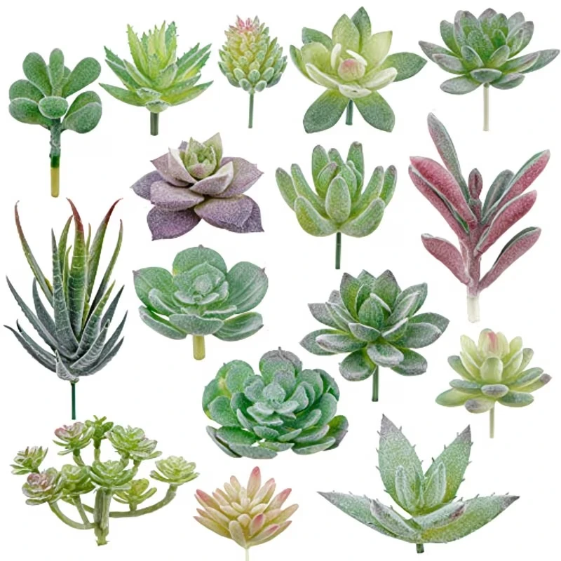 10/20 ชิ้น พีวีซี ต้นไม้จำลอง  - String Of Pearls Plant บทวิจารณ์และราคา